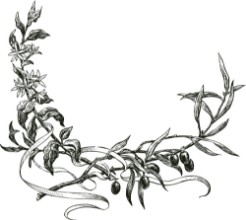 Afbeeldingen van Two branches