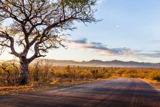 Afbeeldingen van Afrikaans landschap
