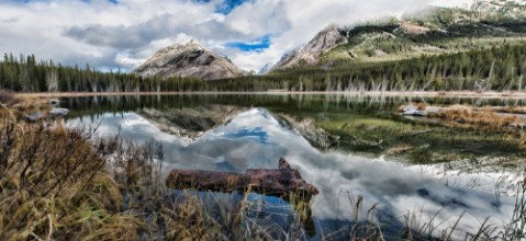 Afbeeldingen van Buller Pond Panoramic