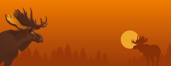 Bild på Moose against the evening nature