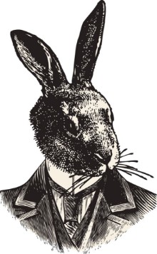 Bild på Monsieur Lapin