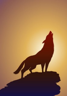 Afbeeldingen van Kurt ve   Ergenokon renkli