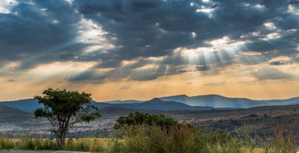 Bild på Skies of Africa
