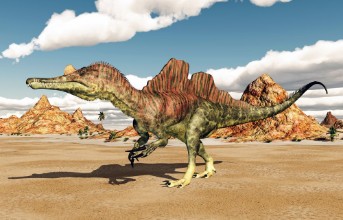 Image de Dinosaur Ichthyovenator