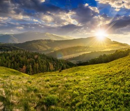 Picture of Landscape with valley and forest in high mountains at sunset