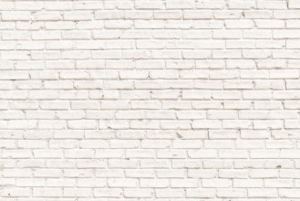 Afbeeldingen van White Brick Wall