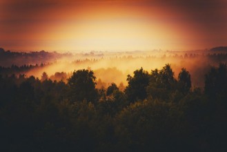Picture of Welcome in Lesser Poland