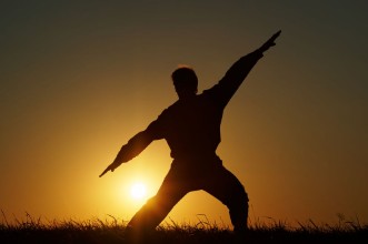 Image de Silhouette of man with extended arms in a fighting stance on a grassy horizon against the setting sun