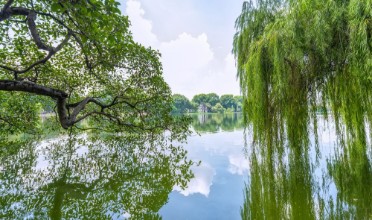 Bild på Tortoises tower on Lake Hoan Kiem Hanoi Vietnam reflected the strain shimmering drooping willow lake romantic and quaint This is the image symbolizes Vietnam capital