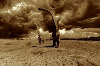 Picture of The Last Day