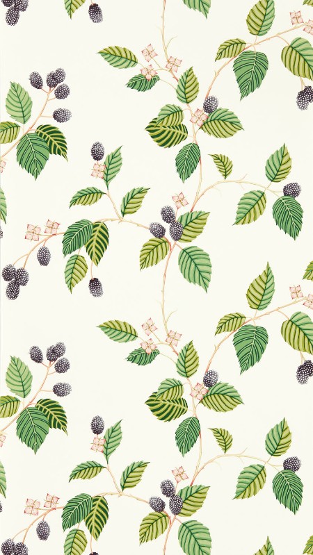 Picture of Farvesammensætning - Rubus Blackberry - DABW217227 - 03656-01