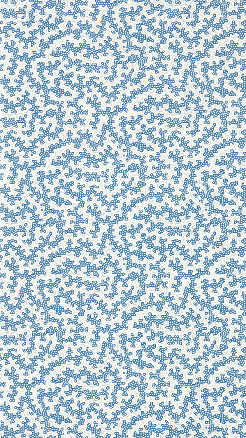 Image of 