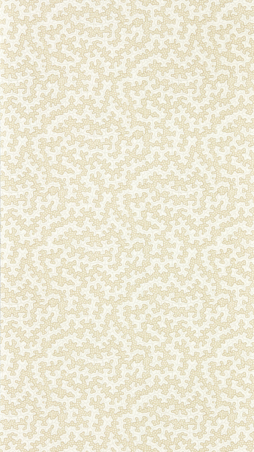 Image of 