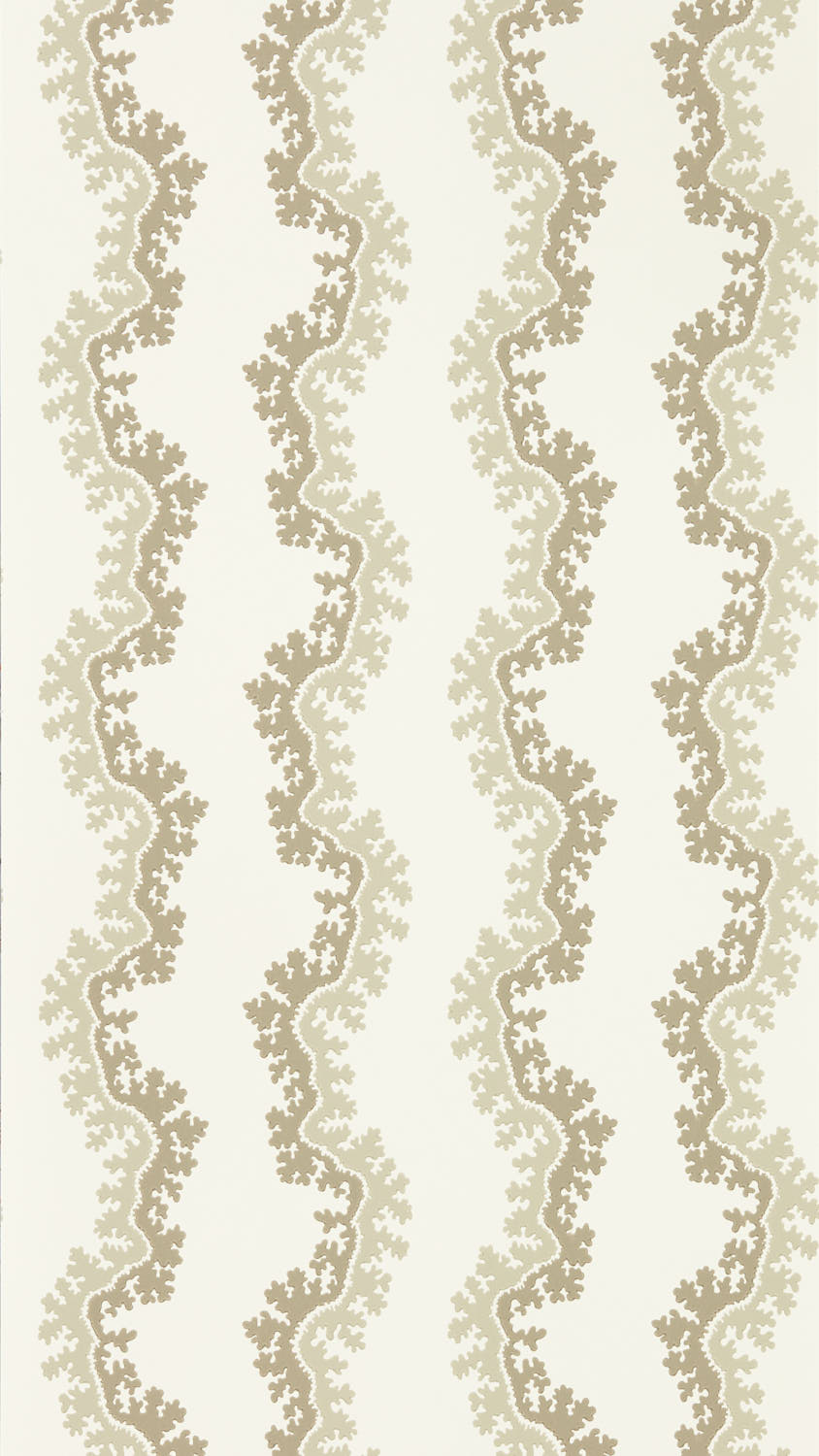 Image of 