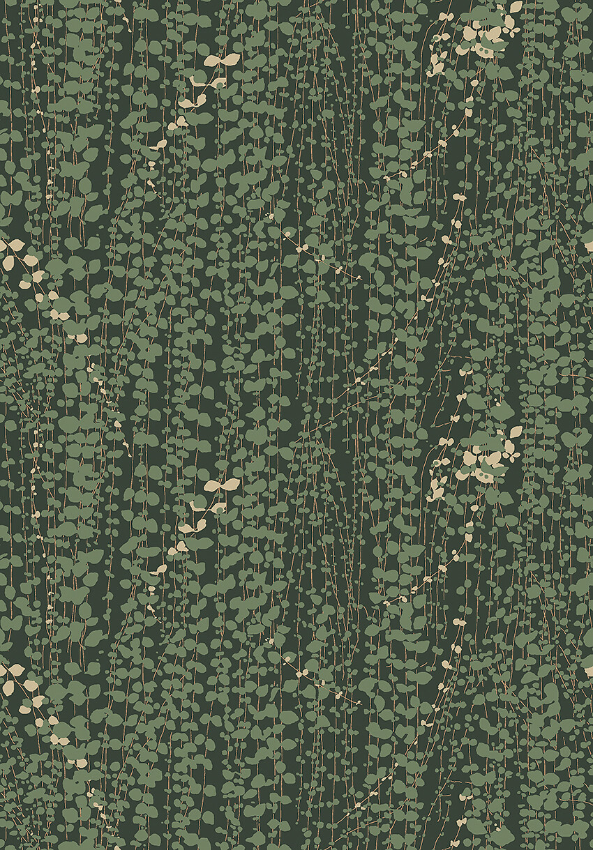 Image of 