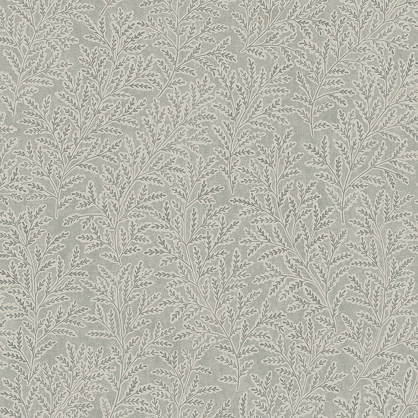 Image of 