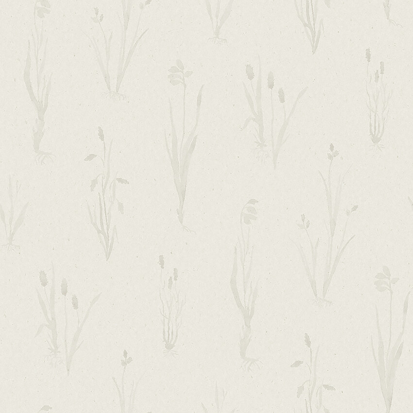 Image of 
