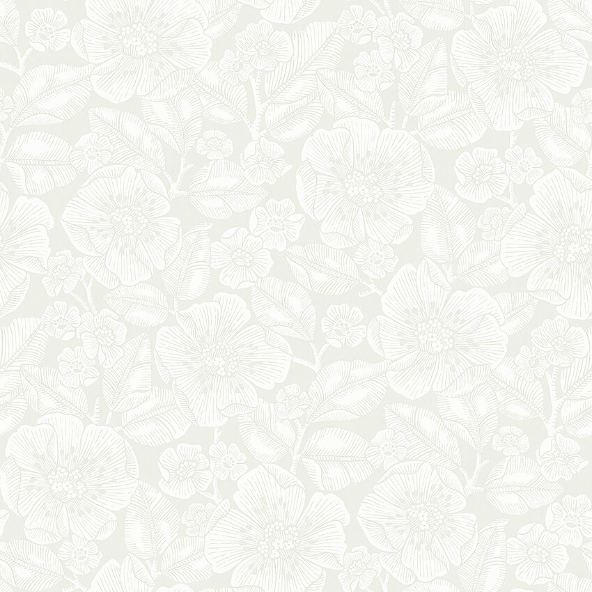 Image of 