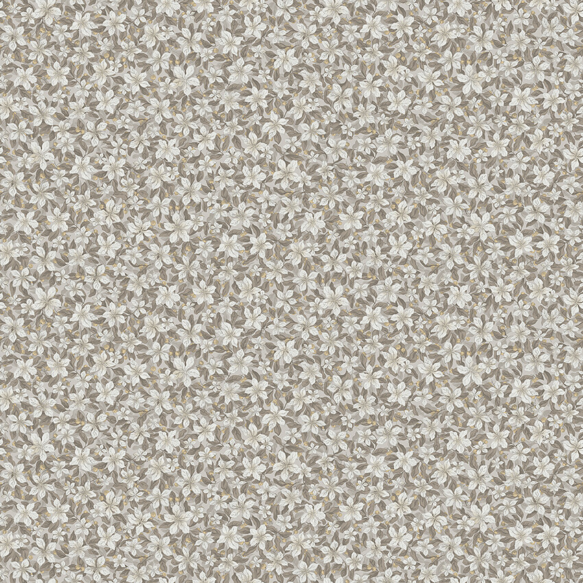 Image of 