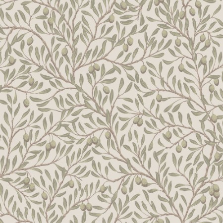 Olivträd - 5705 wallpaper Boråstapeter