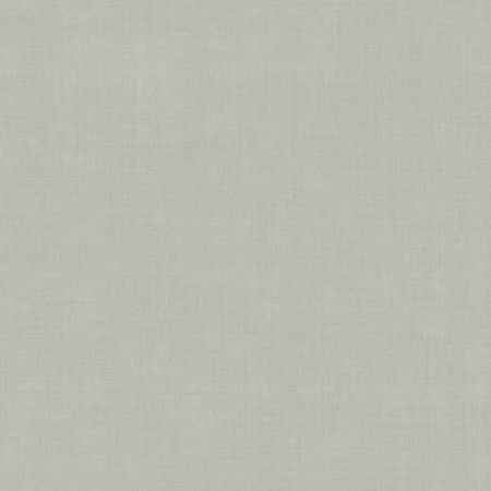 Picture of Jute - 16021