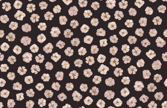 Sweet White - 9545W wallpaper Boråstapeter