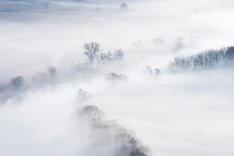 Foggy Winterlandscape - 2159059 photowallpaper Wallpassion