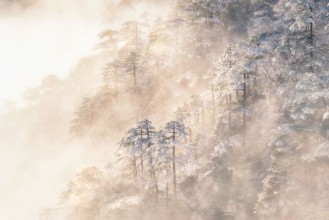 Dreamy Winter - 2190323 photowallpaper Wallpassion