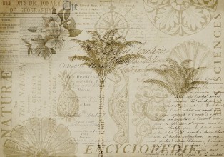 Tropical Encyclopedia - 2527771 photowallpaper Wallpassion
