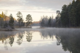 Foggy Morning Over Silent Lake - f1770757 photowallpaper Wallpassion