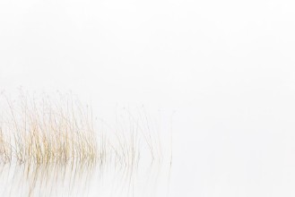 Silent Lake in Fog - f1770872 photowallpaper Wallpassion