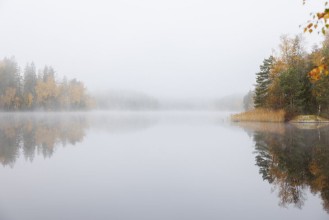 Foggy Autumn Lake - f1771327 photowallpaper Wallpassion