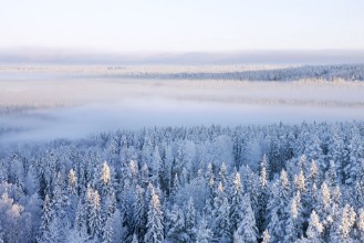 Picture of Winter Landscape in Jamtland