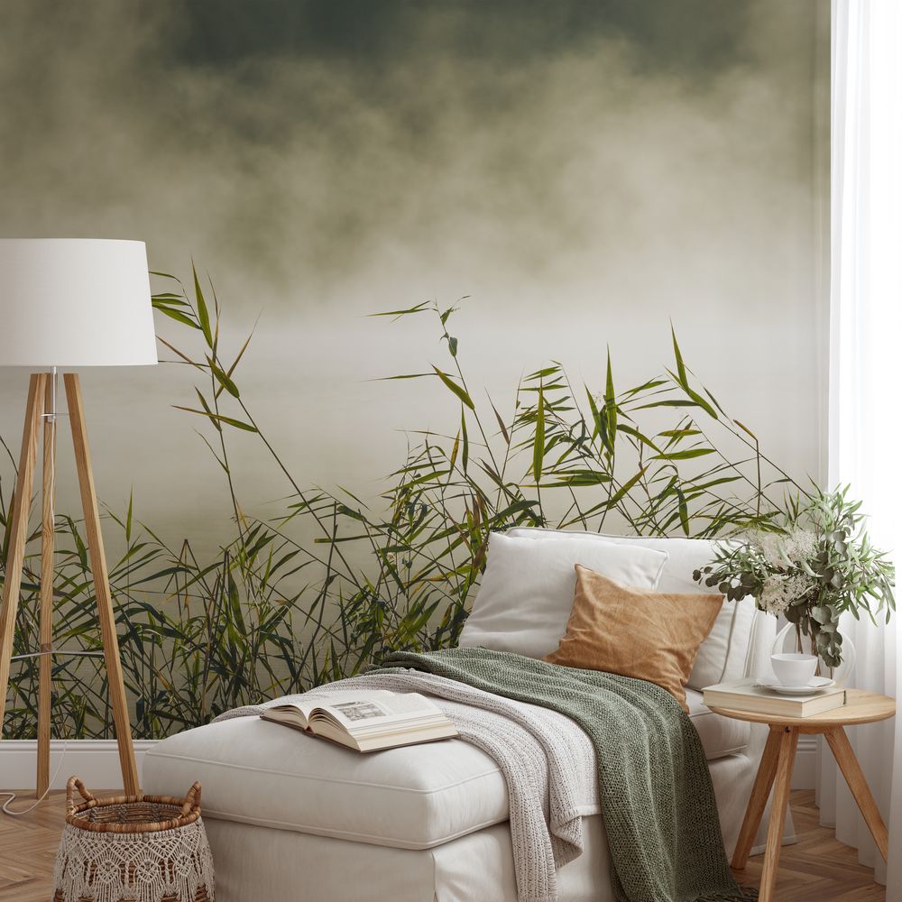 Picture of Grass in Fog