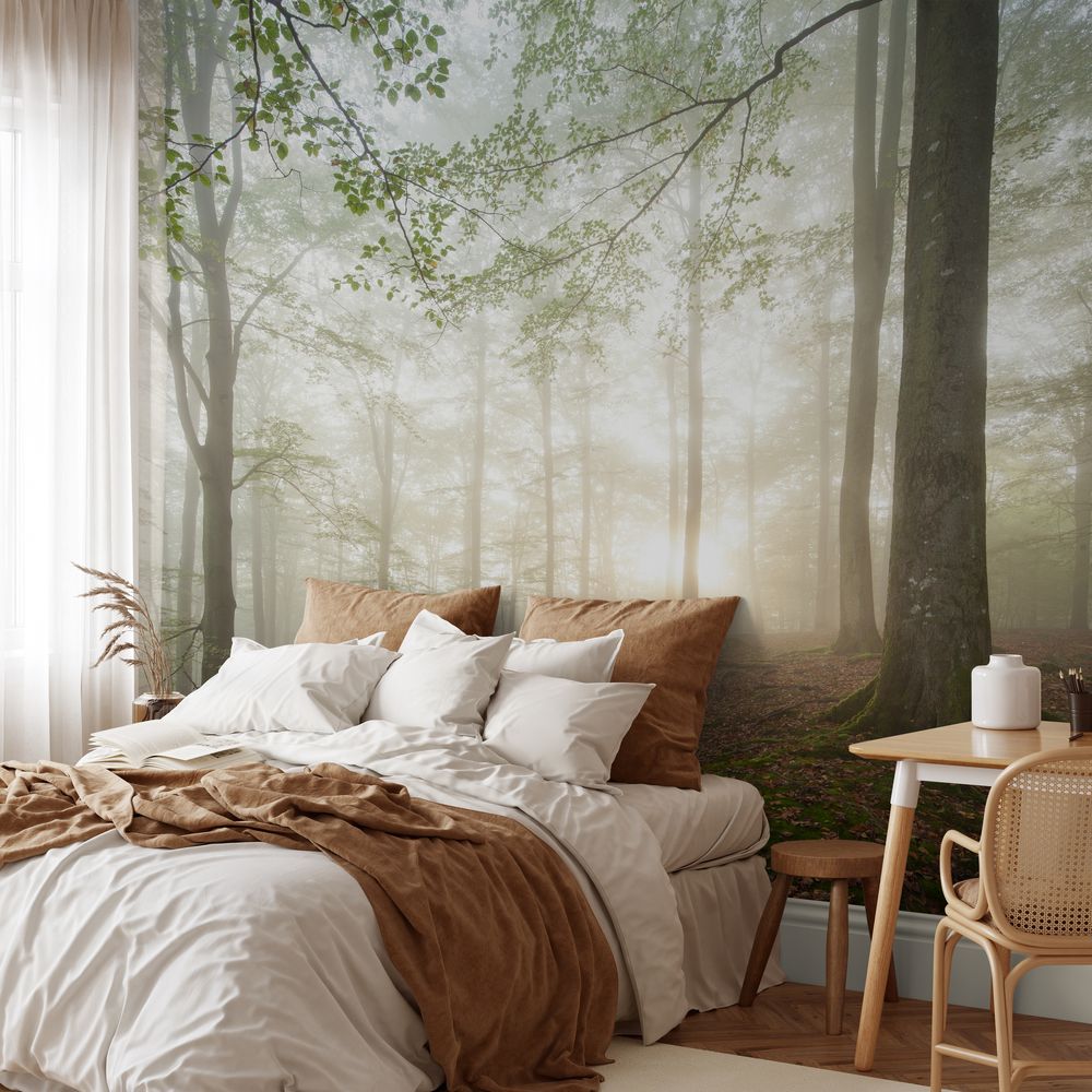 Picture of Silent Beech Forest