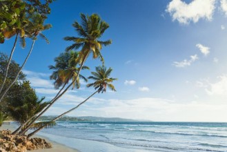 Palms and Beach at Trinidad and Tobago - f5351044 photowallpaper Wallpassion