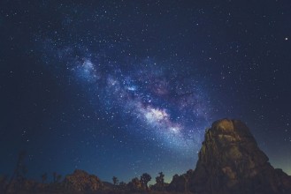 Stars Above Joshua Tree Park - f7340205 photowallpaper Wallpassion