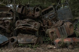 Classic Cars Abandoned in the Woods photowallpaper Wallpassion