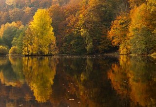 Autumn Lake Reflections photowallpaper Wallpassion