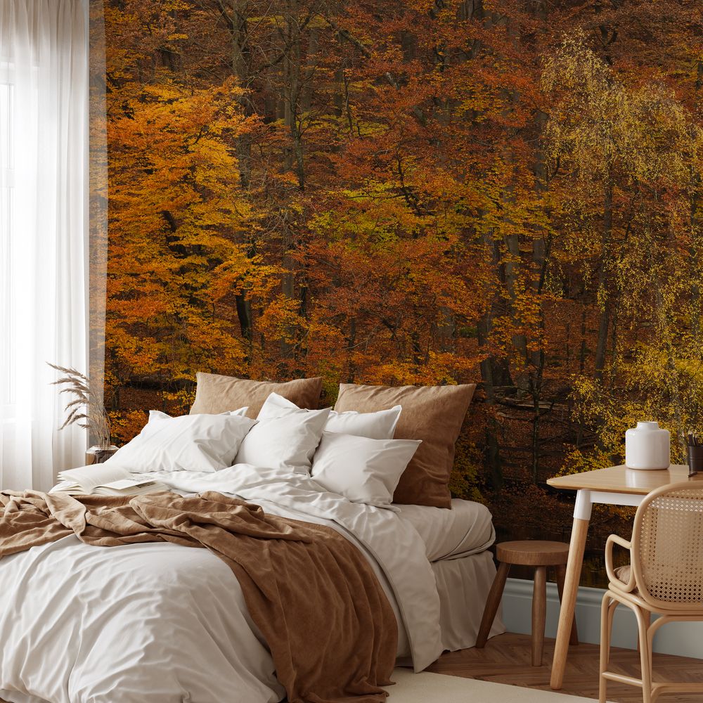 Autumn Tree Lake photowallpaper Wallpassion