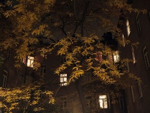 Building Neighbours at Night photowallpaper Wallpassion