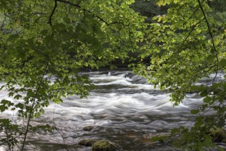 River with Power of Flow photowallpaper Wallpassion