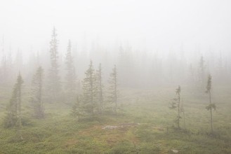 Misty Landscape in Are photowallpaper Wallpassion