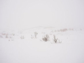 White Landscape in Lapland photowallpaper Wallpassion
