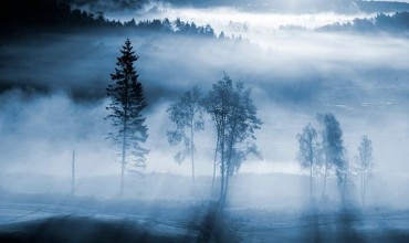 Misty Blue Landscape photowallpaper Wallpassion