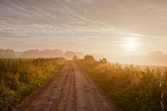 Country Road in Summer photowallpaper Wallpassion