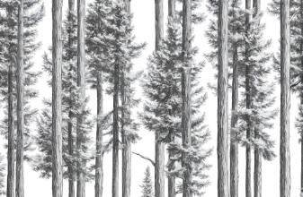 Sketched tree trunks in black and white photowallpaper Wallpassion
