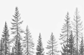 Up among the treetops photowallpaper Wallpassion