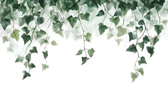 Hanging Ivy photowallpaper Wallpassion