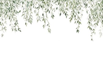 Roof of eucalyptus photowallpaper Wallpassion